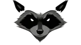 Black Raccoon Systems