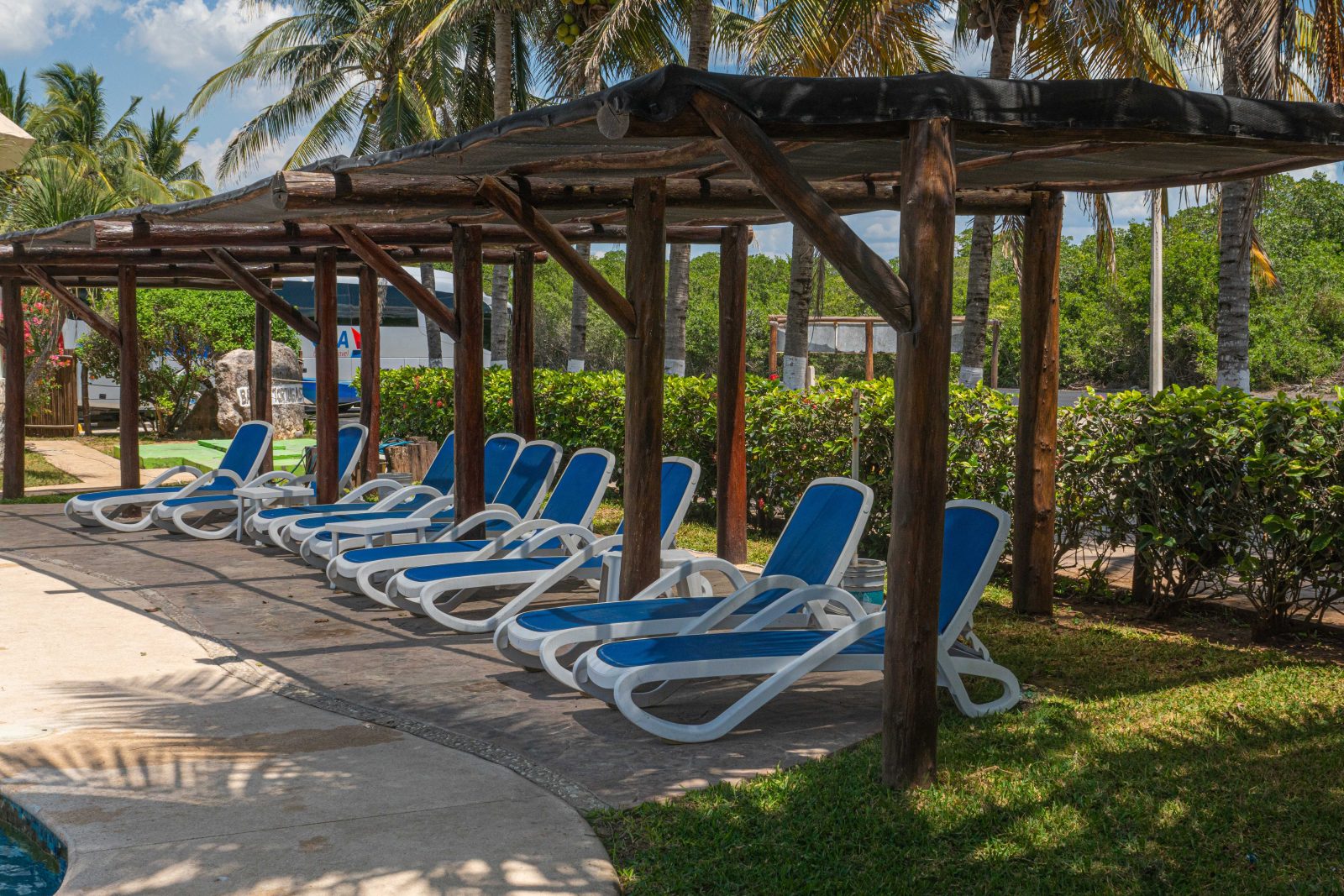 Sombras y aire tropical